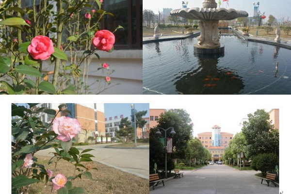 1566461879263283.jpg 12.JPG