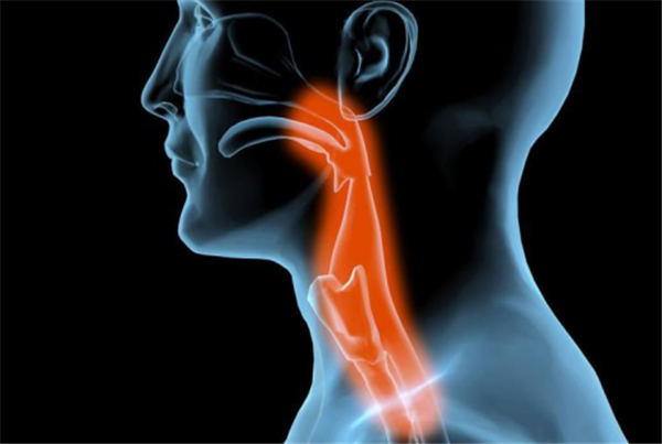 1576136336402266.png 圖片 3_2.png