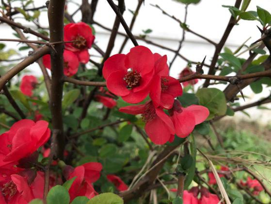 1585621148202099.jpg 圖片35.jpg